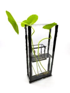 Florero / Propagador de esquejes