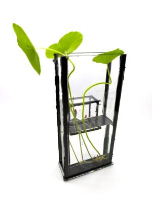 Florero / Propagador de esquejes