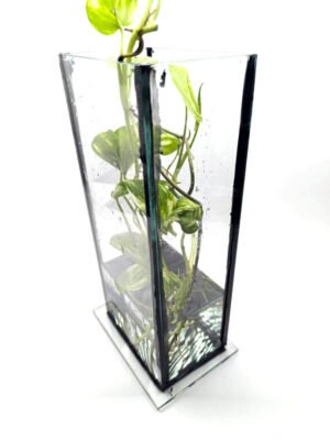 Florero / Propagador de esquejes